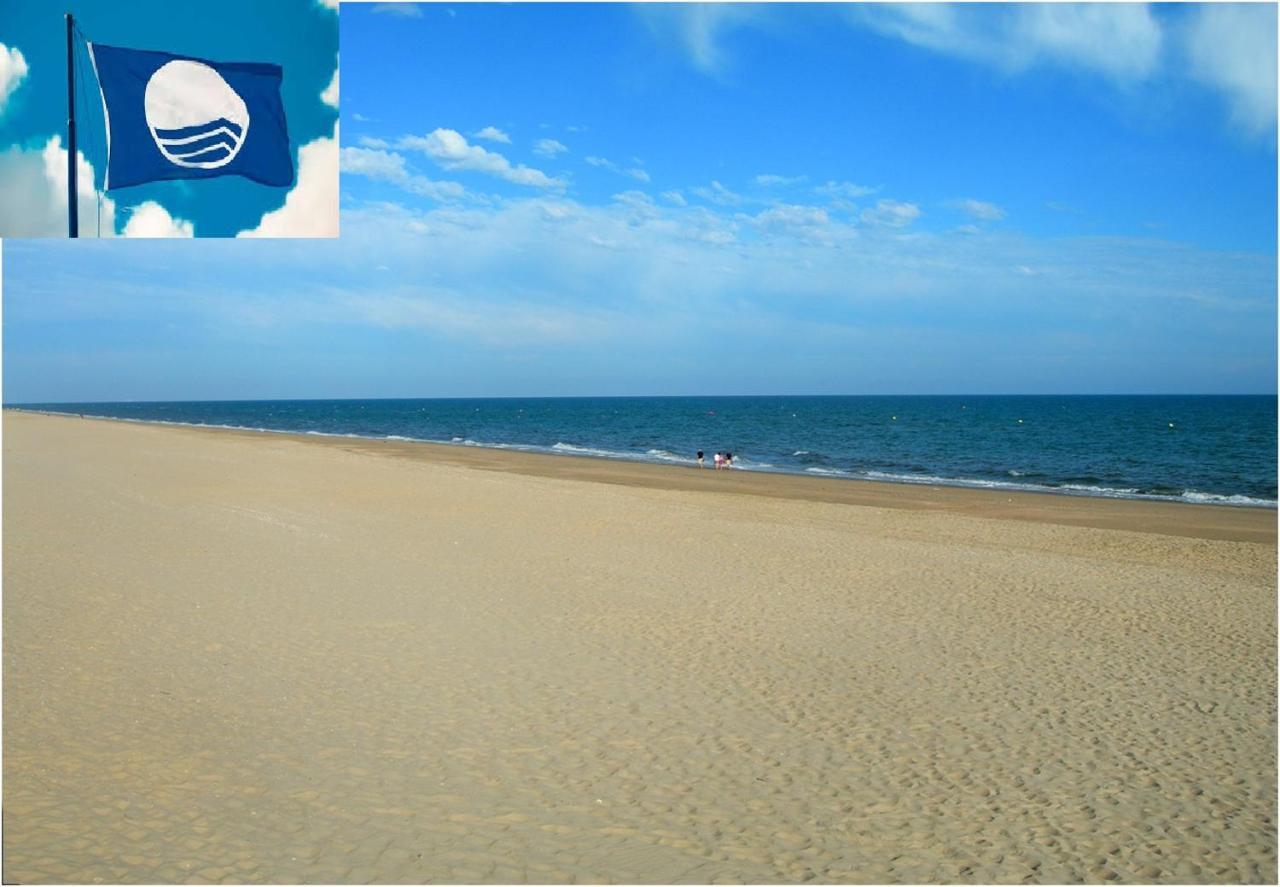 Apartamento Cerca Del Mar Оліва Екстер'єр фото